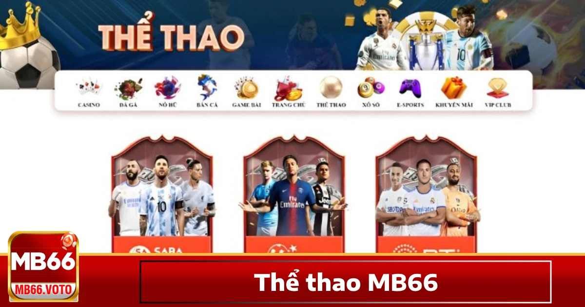 Cá cược thể thao – Trải nghiệm đỉnh cao