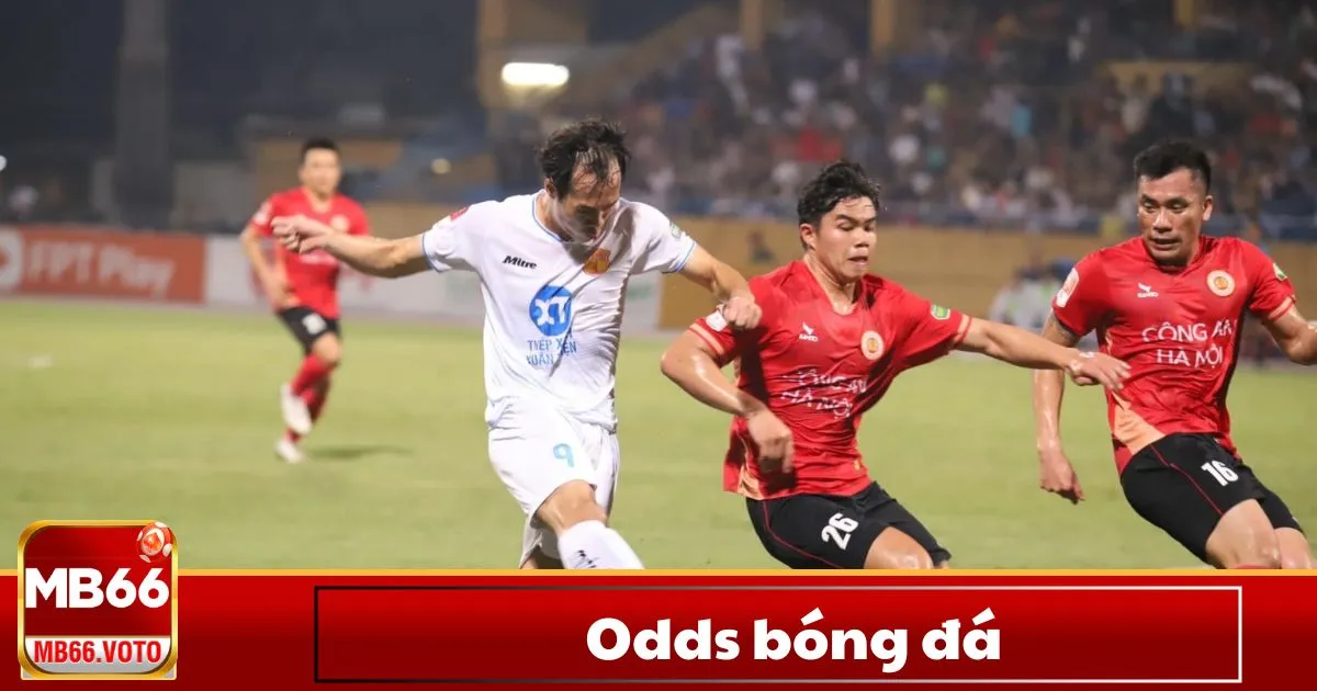 Odds Bóng Đá Là Gì? Cách Đọc Odds Bóng Đá & Phân Biệt Các Loại Odds