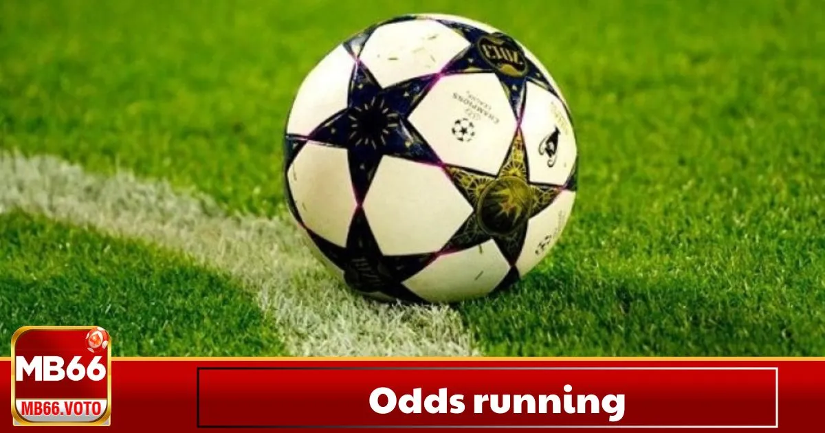 Cách Đọc Odds Running & Khi Nào Nên Đặt Cược?