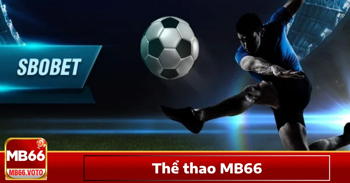 Vì sao nên chọn cá cược thể thao MB66?